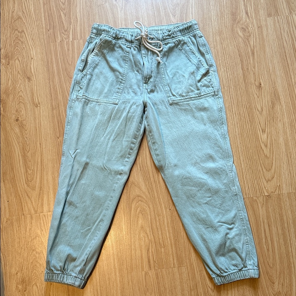 American Eagle Outfitters Light Green Joggers